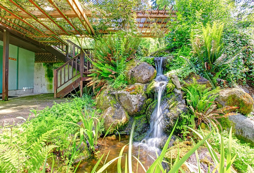 Beautiful natural style pond with waterfall at a farm house backyard