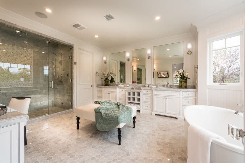 Elegant master bathroom with luxury furnishings and decor
