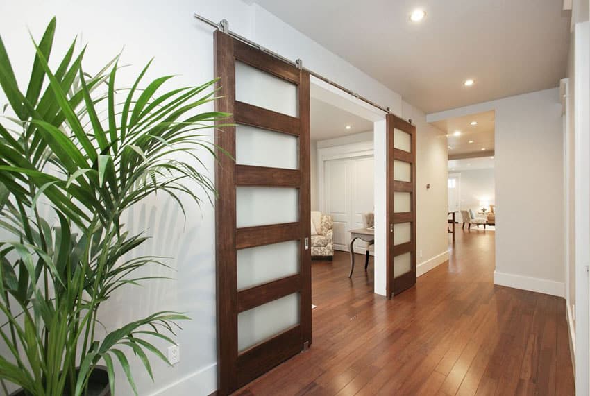 Contemporary 5 panel door and indoor plant