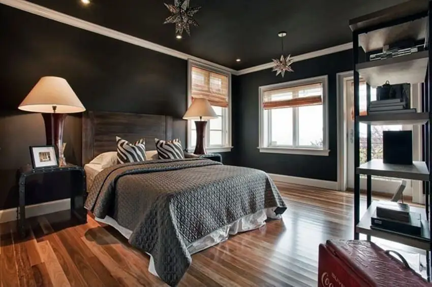 Contemporary master bedroom with wood floors and black theme design