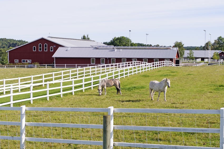 Horse fencing on farm