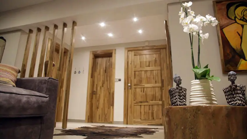Interior wood doors in modern apartment with hallway and decor