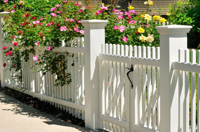 Picket fence with posts and end caps