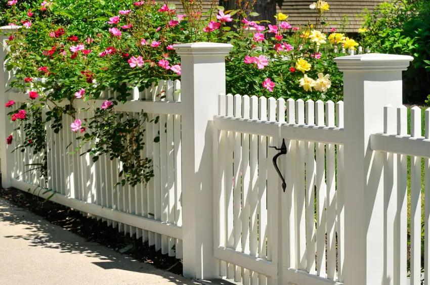 Picket fencing with posts and end caps
