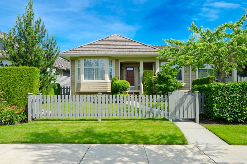 Fence between shrubs