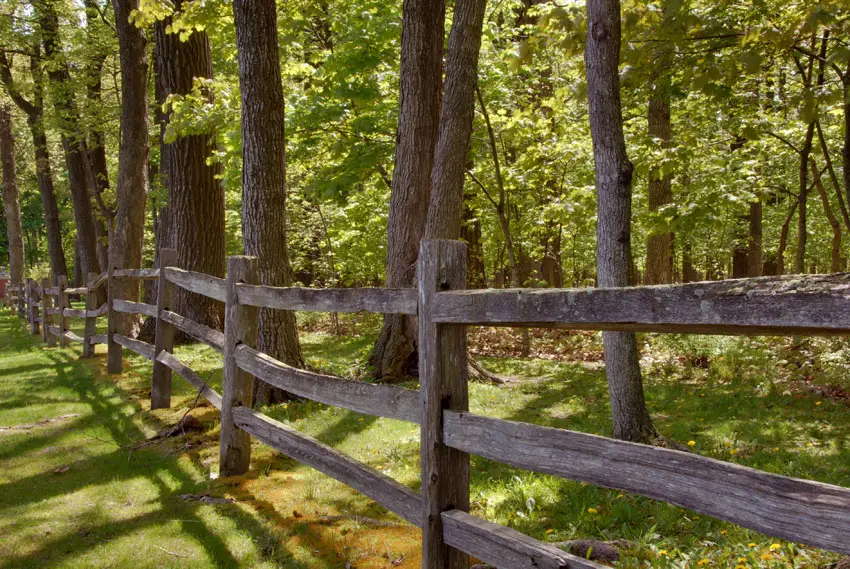 rustic fence