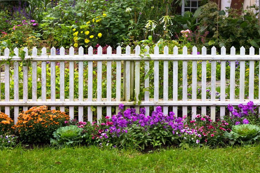 White picket fence through flower garden