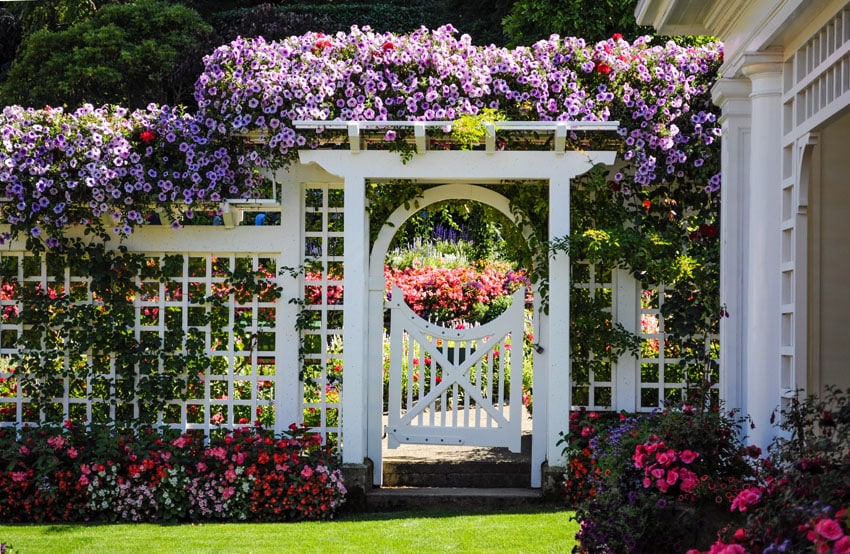 Fence with flowers and scalloped pergola at the gate