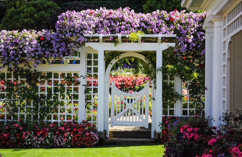 White fence with flowers in garden