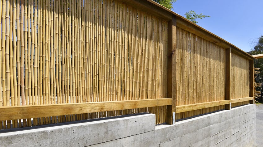 Wood and bamboo fence
