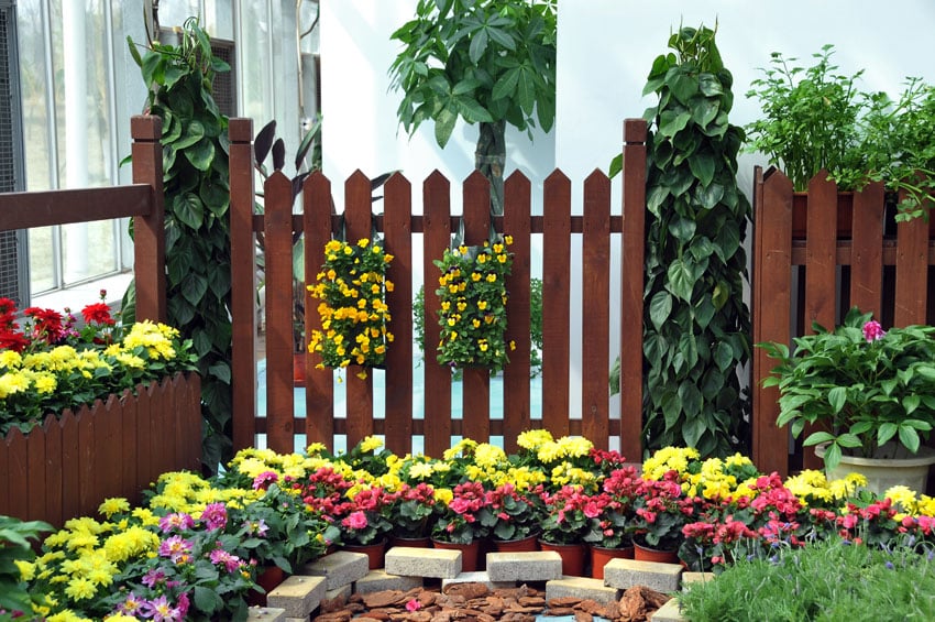 Wood garden fence with flowering plants