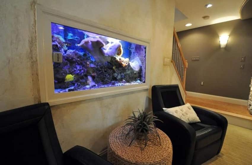 Basement aquarium with seating area