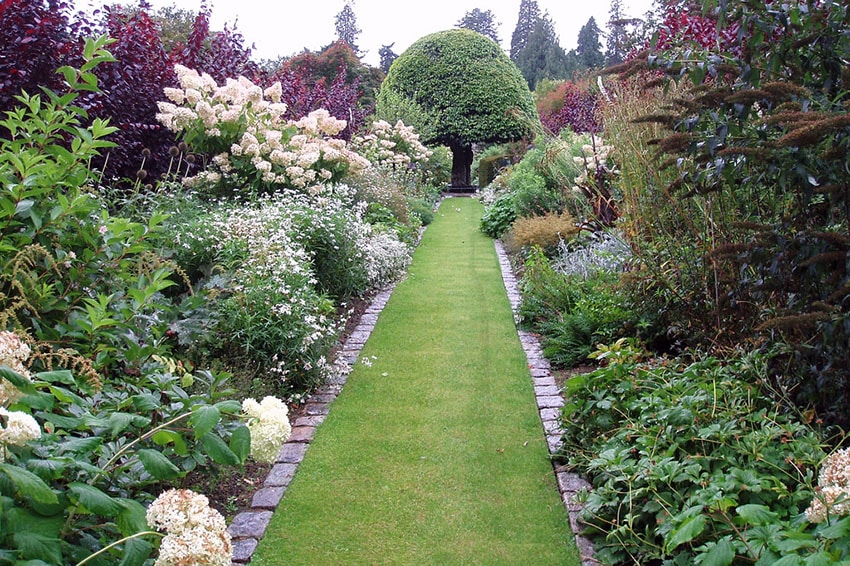 Grass pathway through garden plants