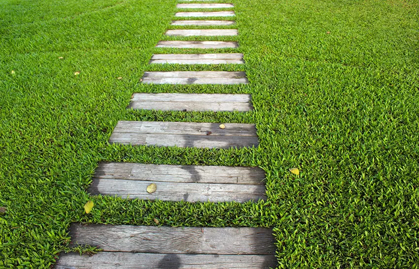 Rough wood plank path through grass