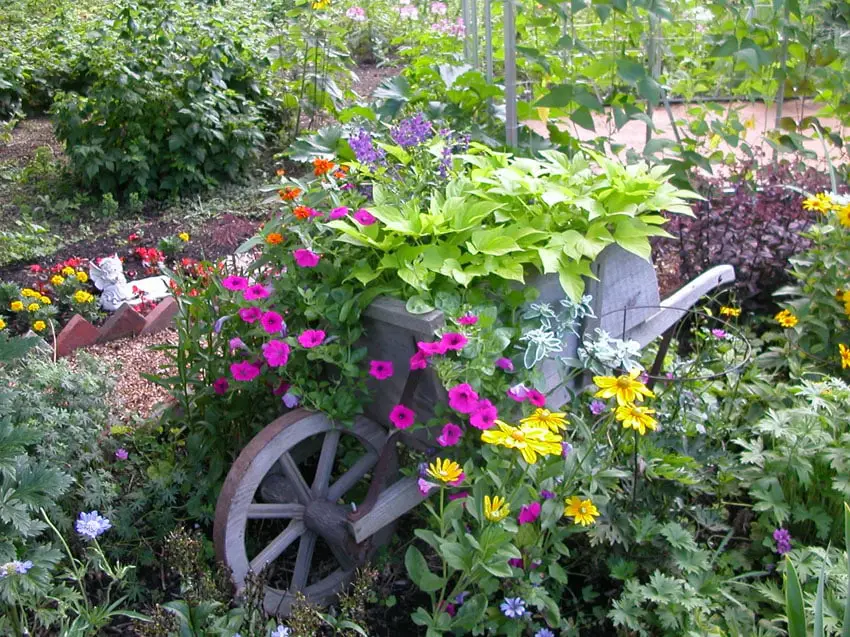 Beautiful wheelbarrow planter with flowers
