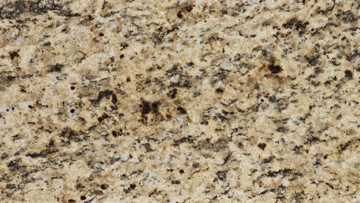 24 Top Beige Granite Countertops (Colors & Styles)