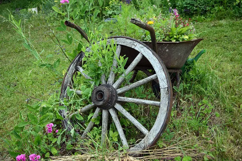 Rusty wheelbarrow with flowers and rustic wagon wheel