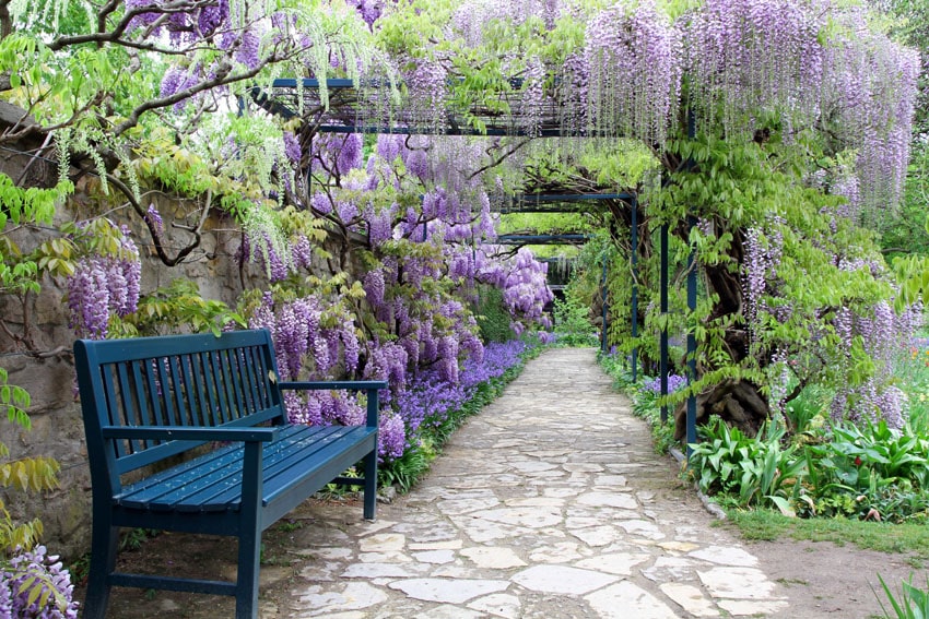 Dark blue bench on garden path