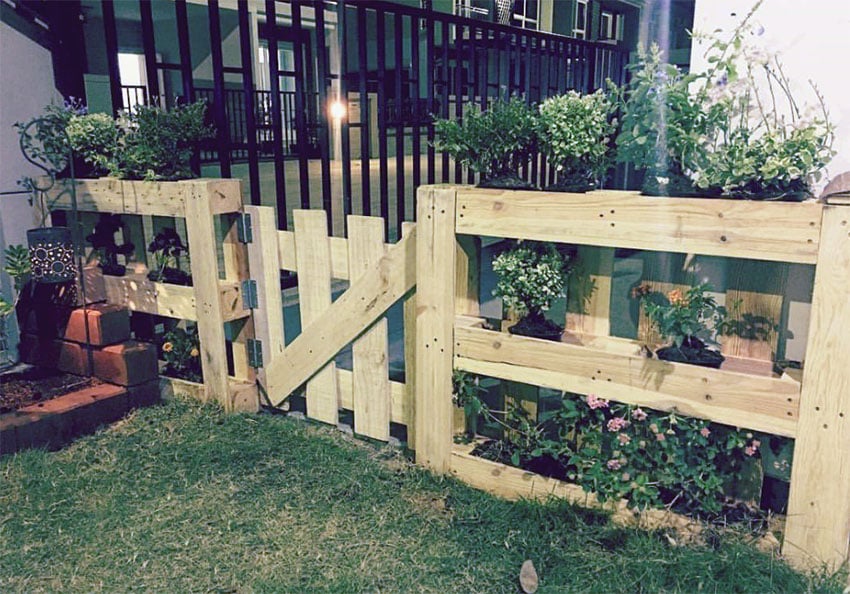 DIY wood pallet gate and fence in backyard