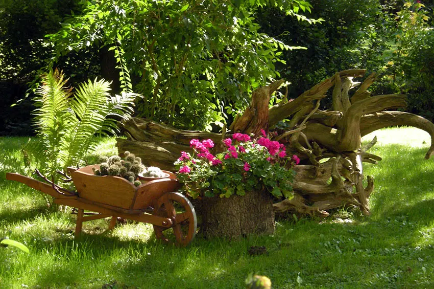 Decorative flower garden with small wood wheelbarrow