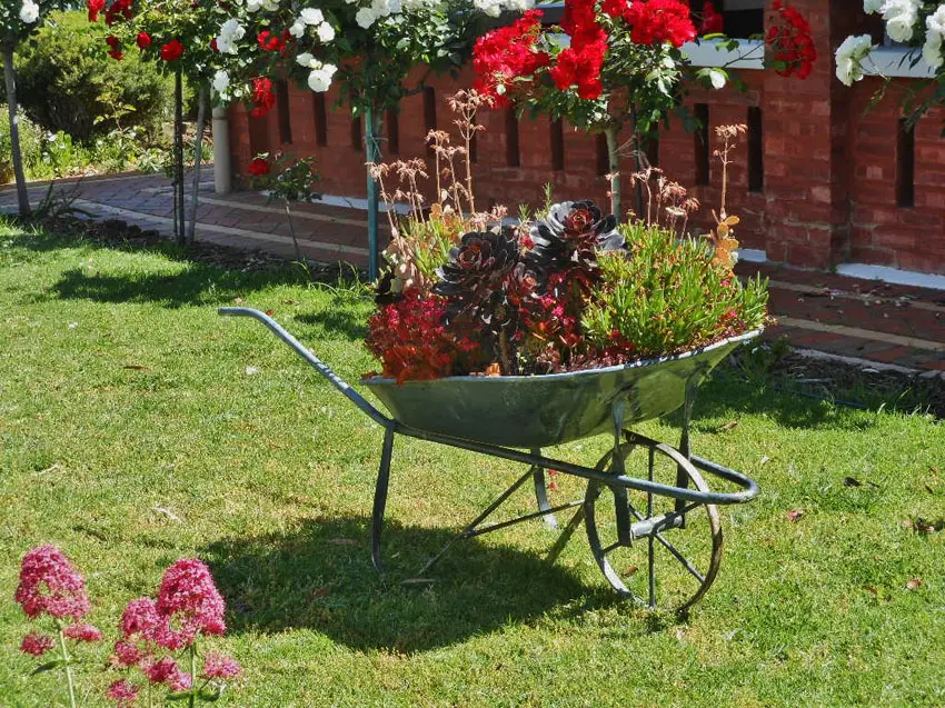Metal wheelbarrow for garden planter