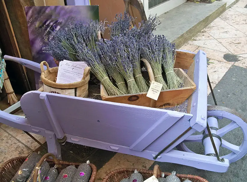 Purple decorative wheelbarrow for store display