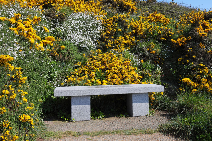 Stone bench next to flower garden
