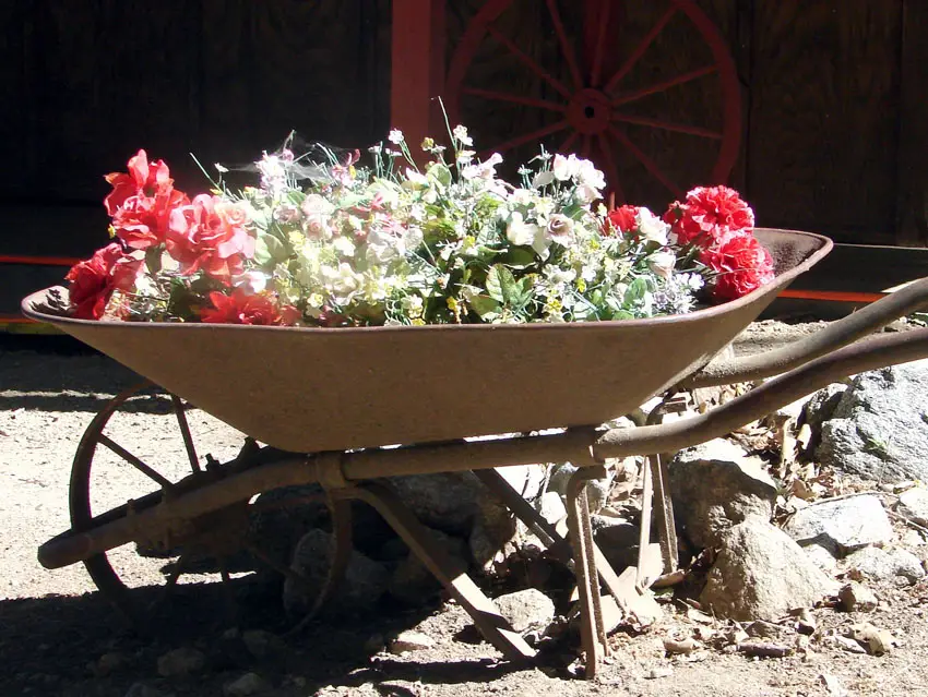 Transform an old wheelbarrow in to a flower planter