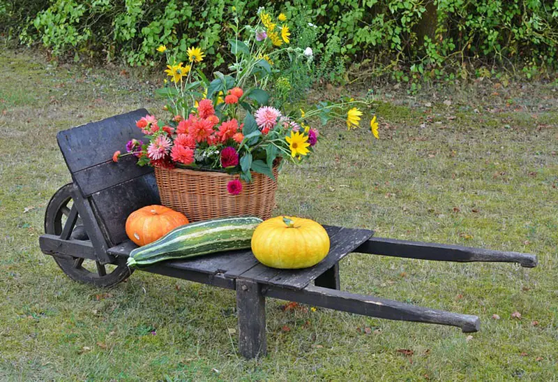Wheelbarrow cart for garden decoration