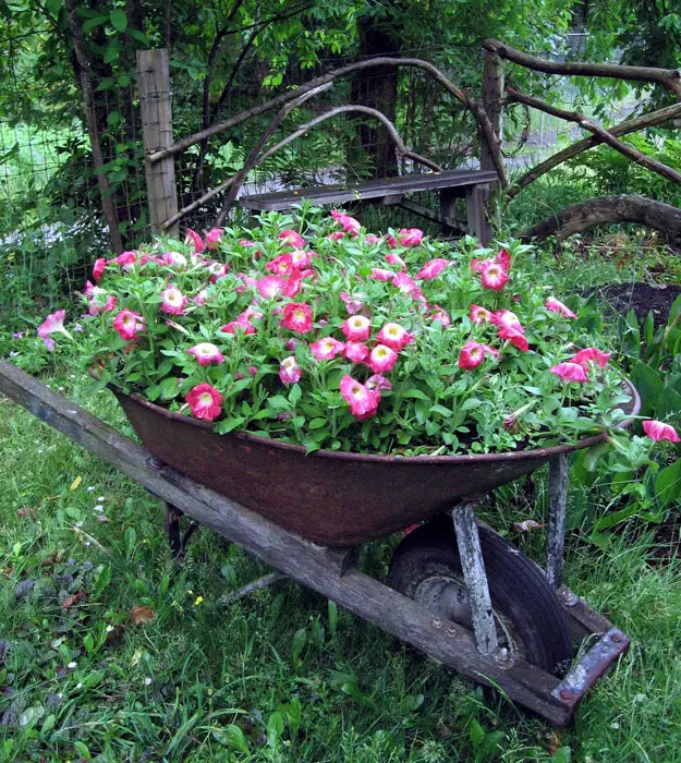 Wheelbarrow planter with pink flowers