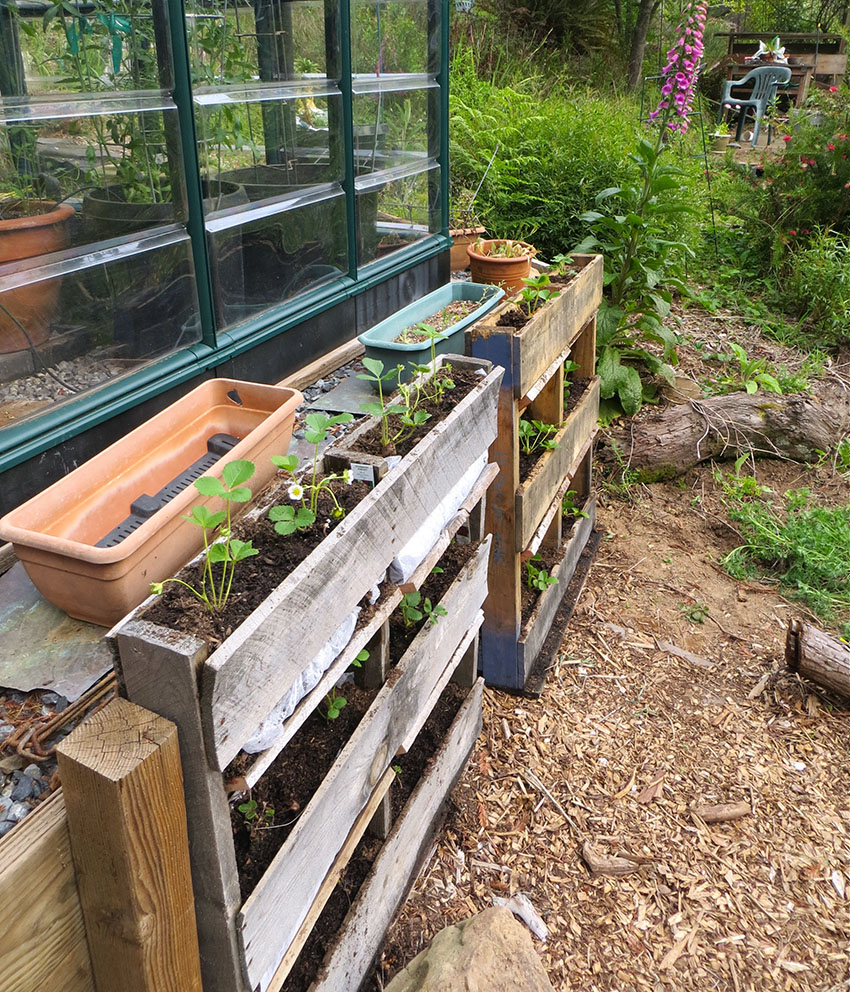 Planters outside green house 