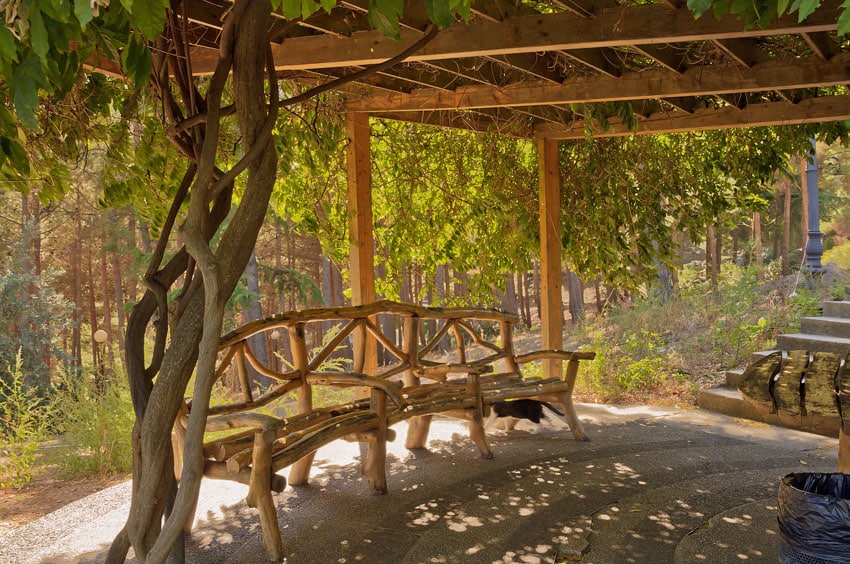 Pergola with creeping vines