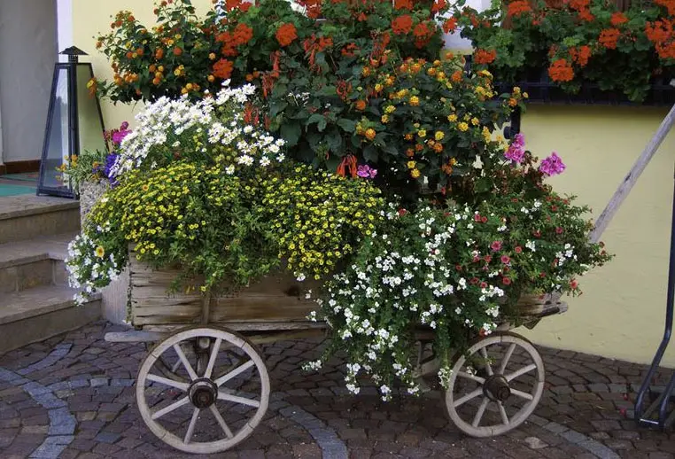 Wood wagon full of flowers