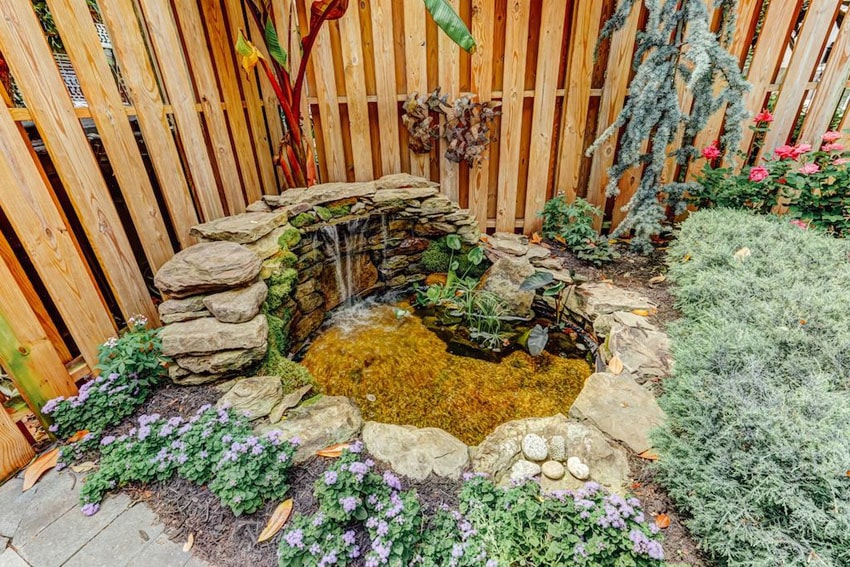 Backyard water feature fountain and shadow box fence