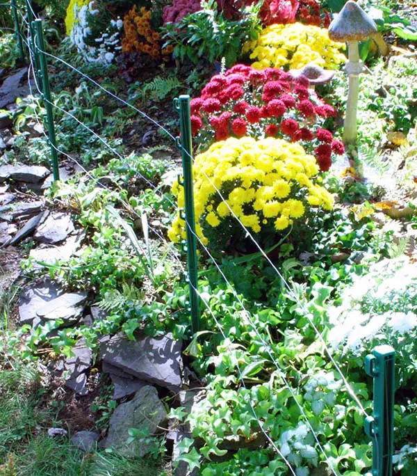 Electric fence