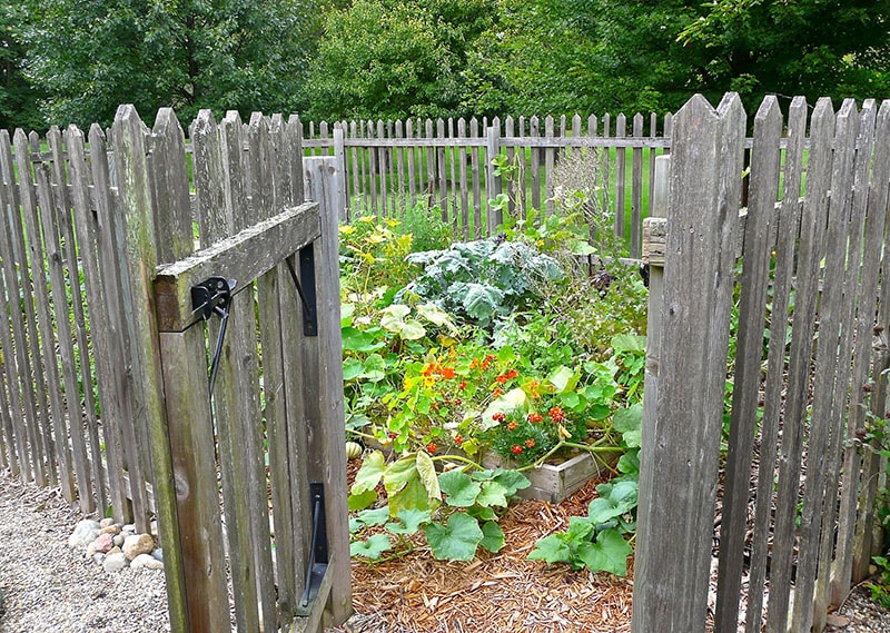 Fenced raised bed garden