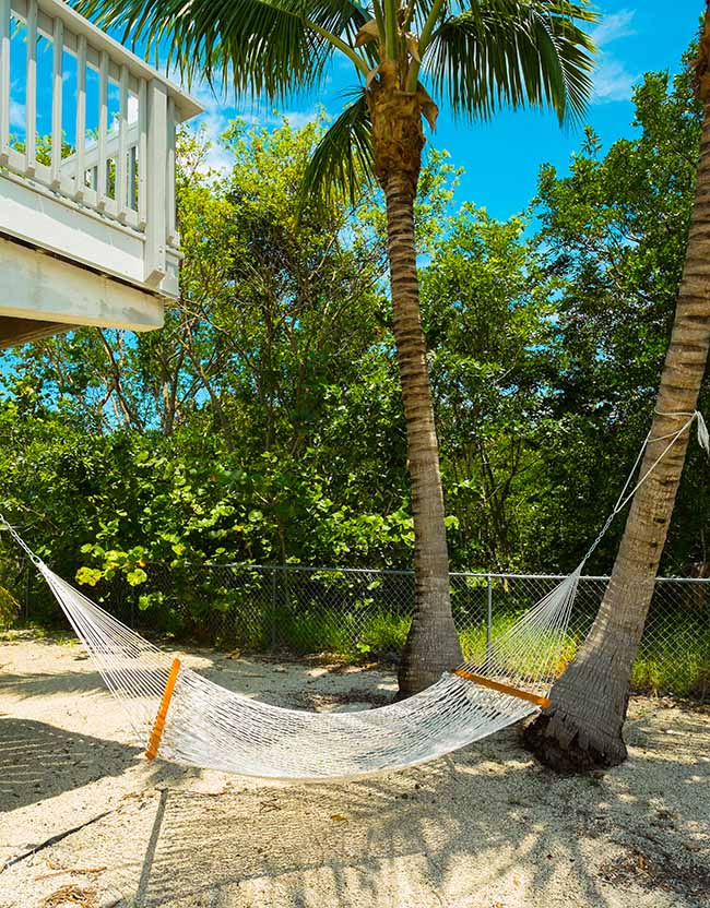 Pea gravel backyard with palm trees and hammock