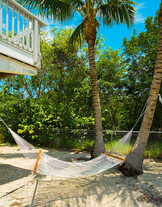 4 Point Hammock Trees