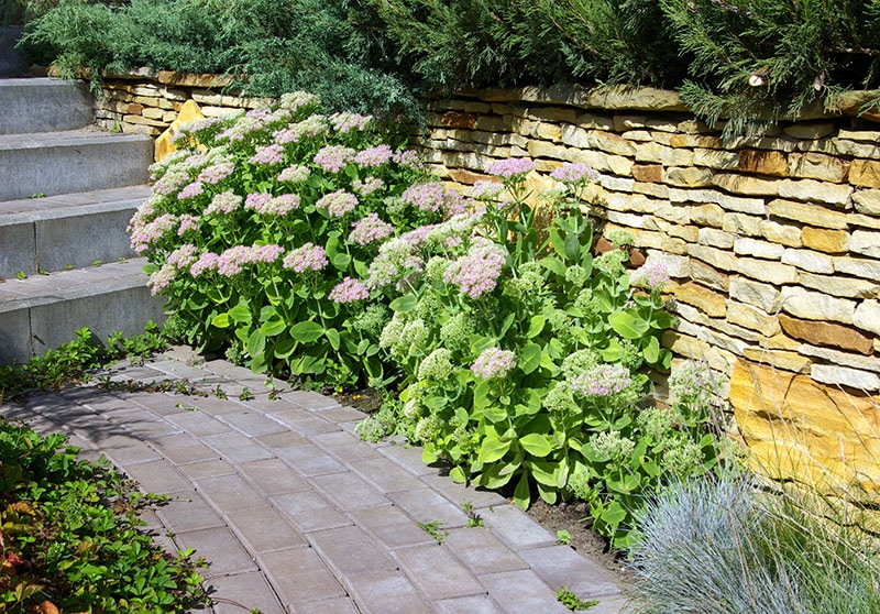 Stacked stone wall in garden