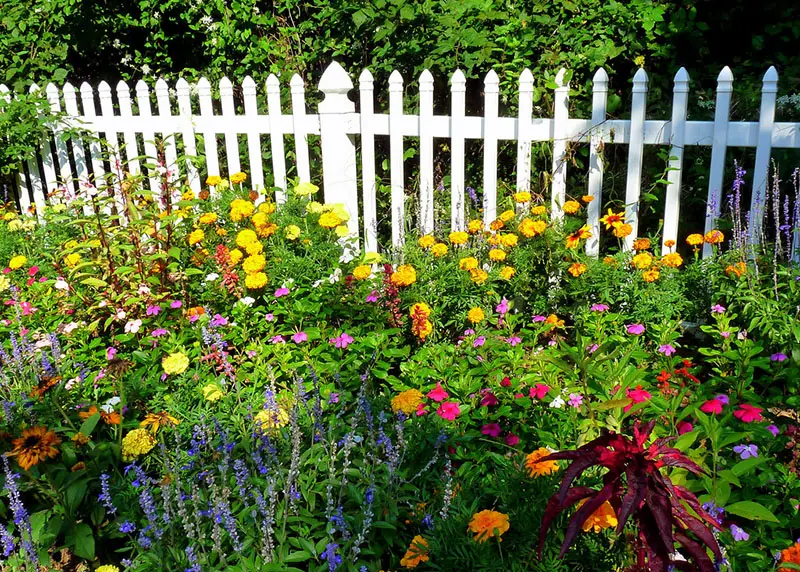 White pvc fence surrounded by flowers