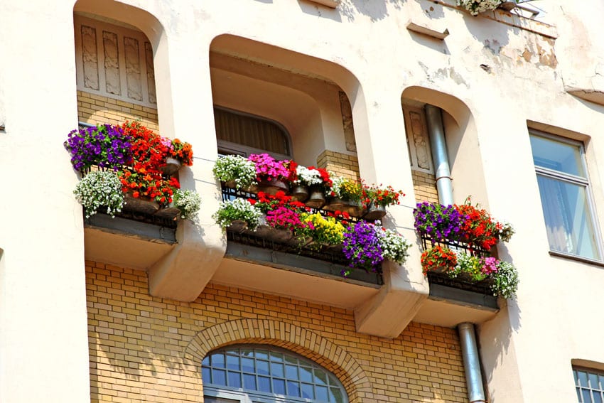 Balcony flower box with wrought iron railing
