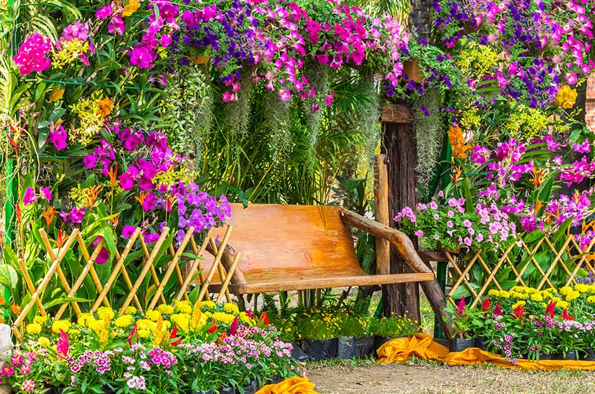 Garden patio with flowering plants and wood bench