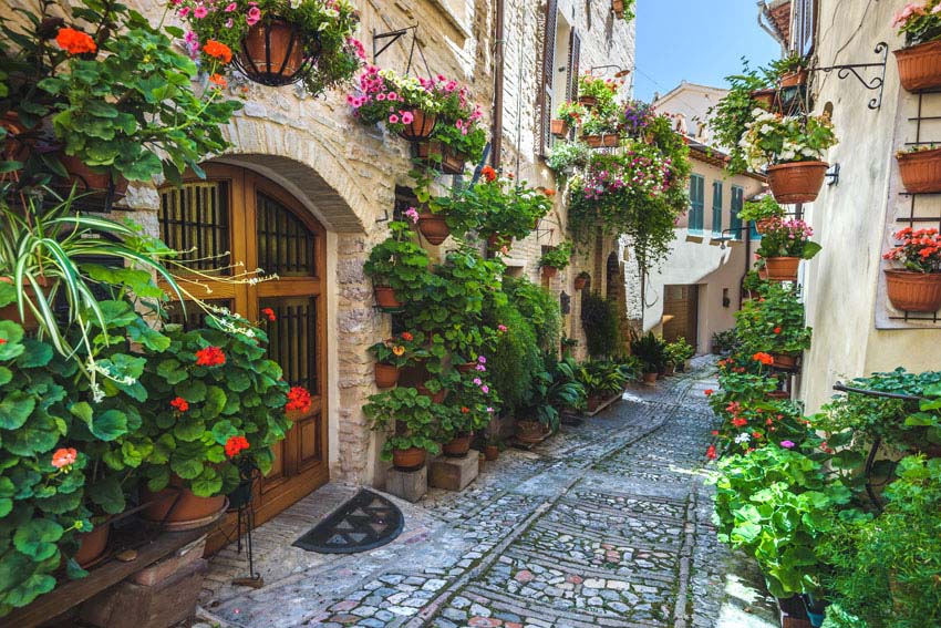 Beautiful old world city street with hanging flower pots