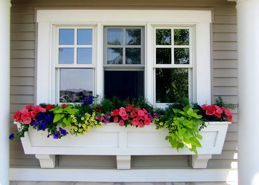 Beautiful window box planter with variety of flowers