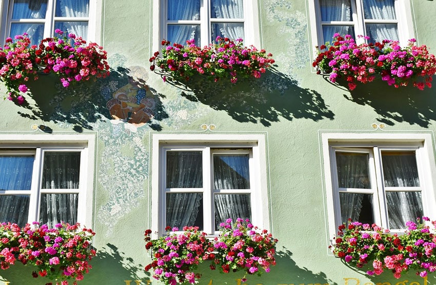Beautiful windows with blooming flower boxes