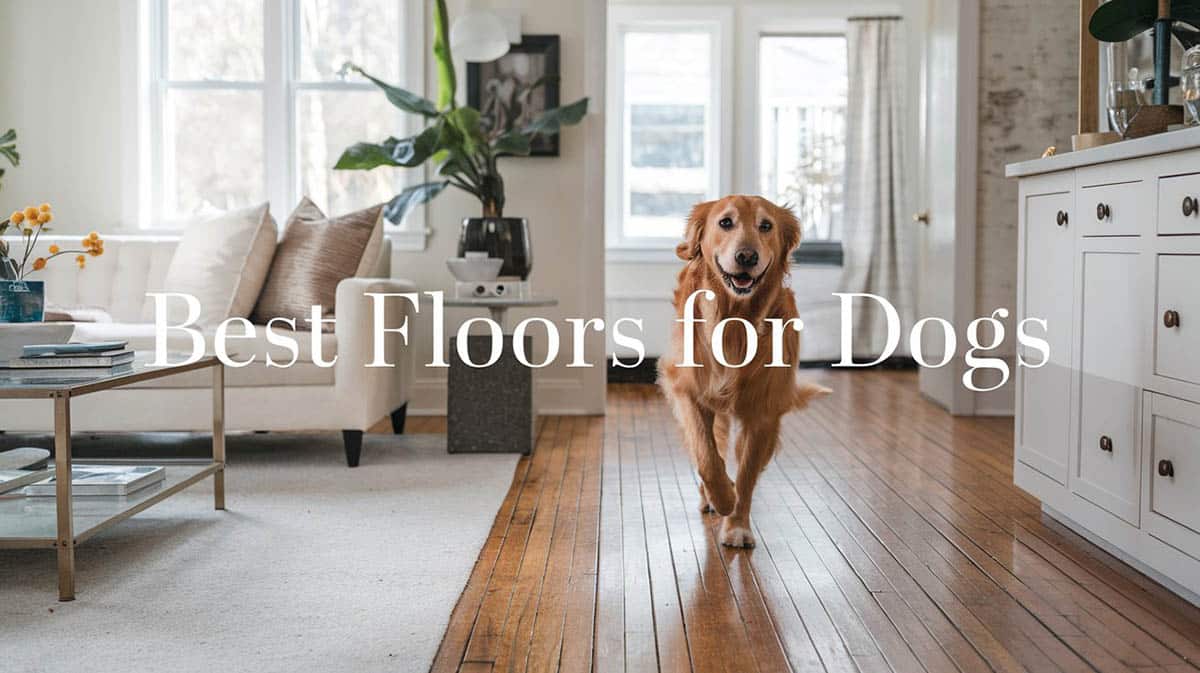 Best Floors for Dogs