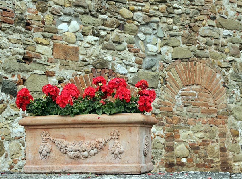 Ceramic flower box with red geraniums