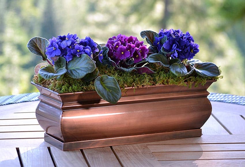 Copper finish flower box