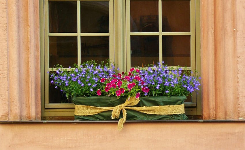 Decorative flower box with bow in window