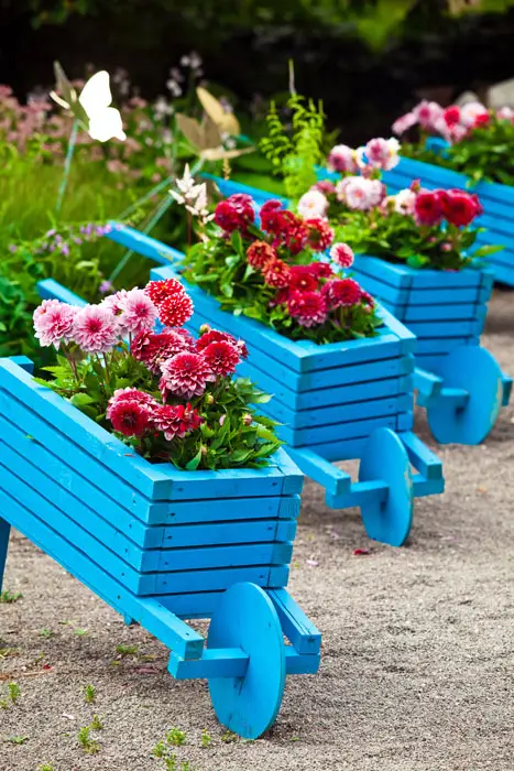 Decorative wheelbarrow flower boxes